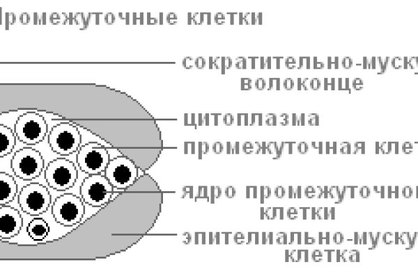 Что за кракен маркет